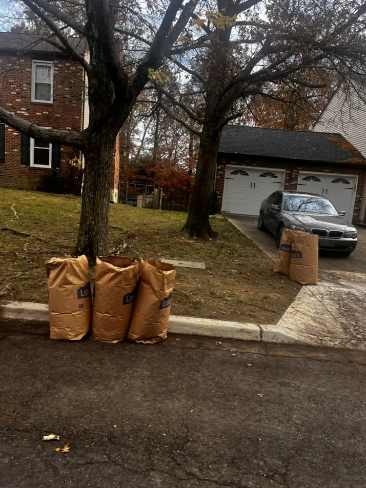 Trusted residential landscaping for homes across Capitol Heights, MD - Mr Flex