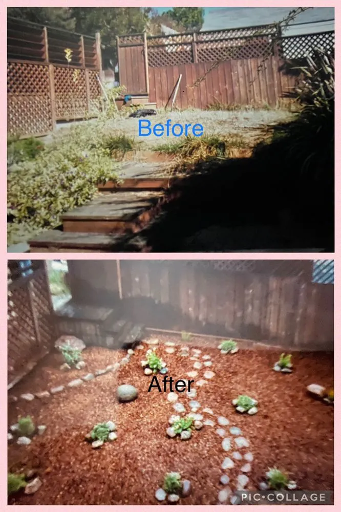 Affordable landscaping services in Colma, CA - Mr Garden Landscap