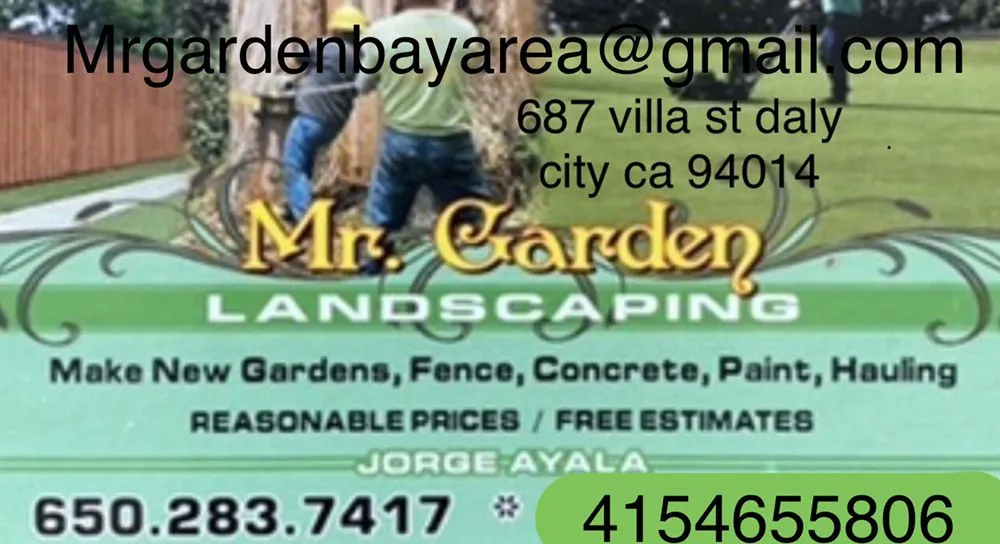 Professional yard maintenance for beautiful yards across Colma, CA - Mr Garden Landscap