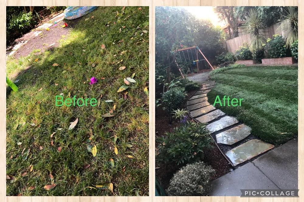 Reliable landscape installation for year-round maintenance across Colma, CA - Mr Garden Landscap