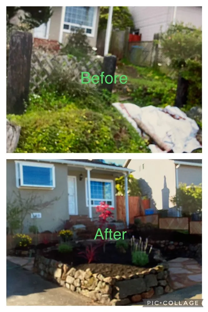 Local outdoor landscaping in Colma, CA - Mr Garden Landscap