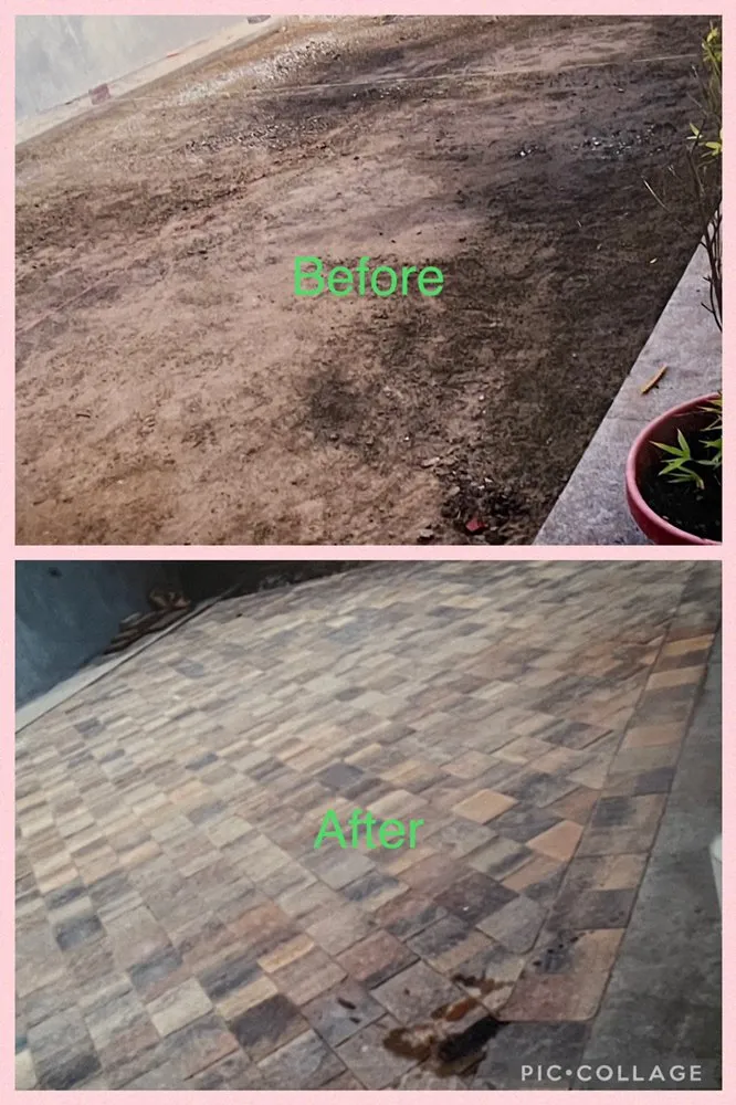 Professional lawn care service in Colma, CA - Mr Garden Landscap