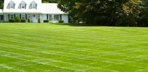 Local lawn mowing service experts serving Miami, FL - MR General Landscaping Services