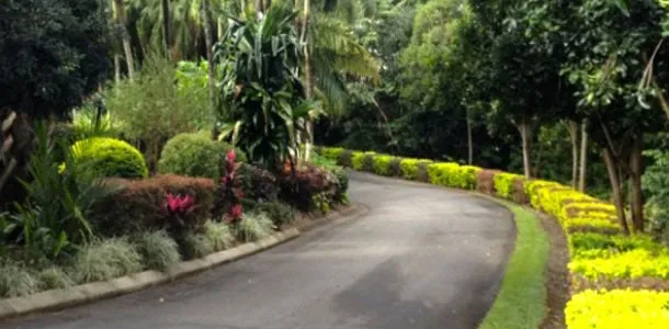 Expert landscaping services for homes across Miami, FL - MR General Landscaping Services