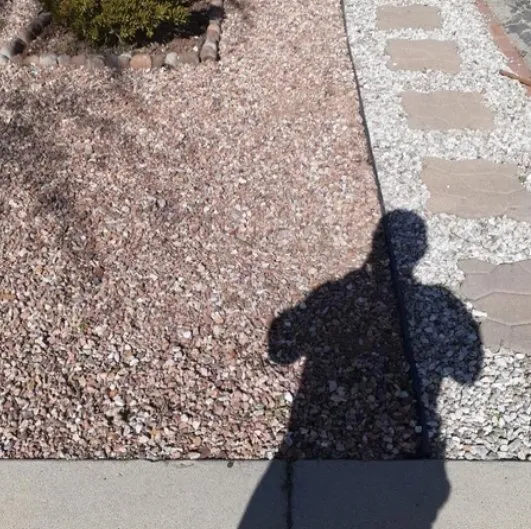 Custom lawn mowing service for homes in Los Angeles, CA by M.R General Garden Service