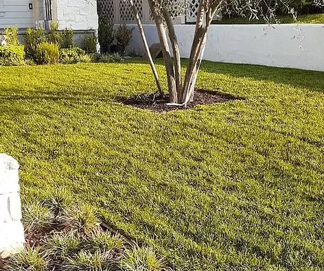 Local outdoor landscaping for outdoor upgrades in Los Angeles, CA by M.R General Garden Service