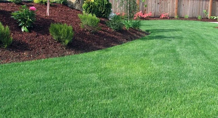 Top-rated lawn care service for beautiful yards in Gonzales, LA by Mr Get It Done Service