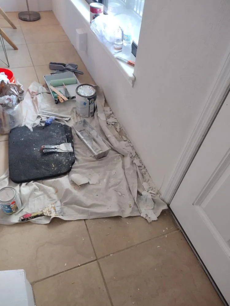 Expert lawn care service in Port Orange, FL - Mr Gets it done