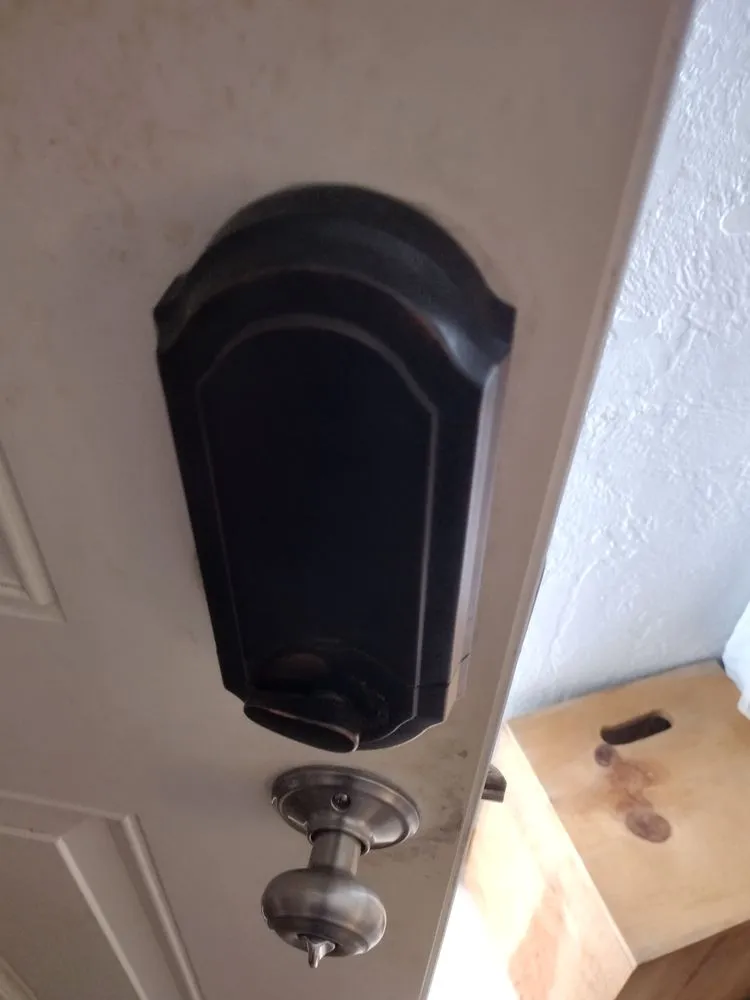 Top-rated landscape installation in Port Orange, FL by Mr Gets it done