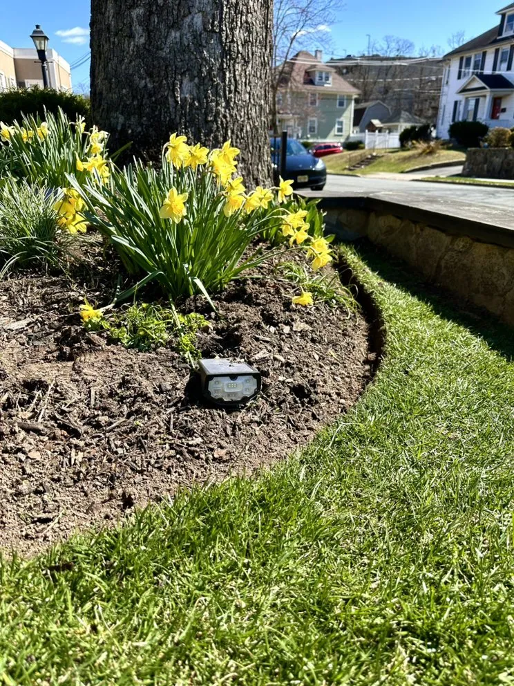 Affordable landscape design in Summit, NJ by MR Goat Service