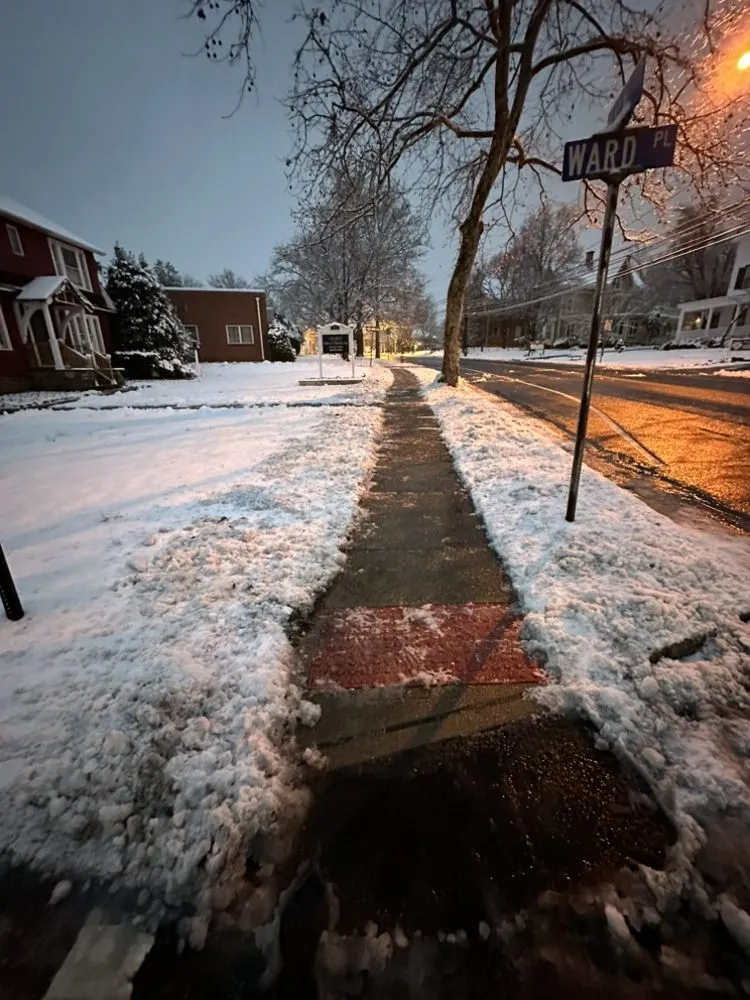 Professional yard cleanup service for outdoor upgrades in Summit, NJ by MR Goat Service