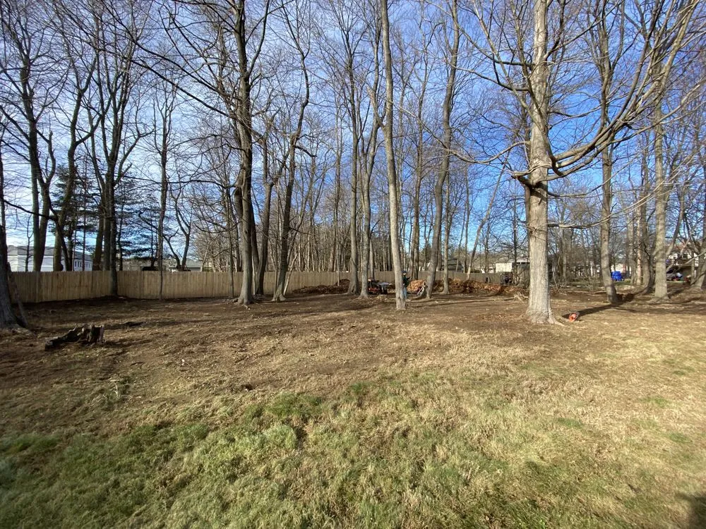 Expert lawn care service in Spring Valley, NY by Mr Gonzalez Lawn Care