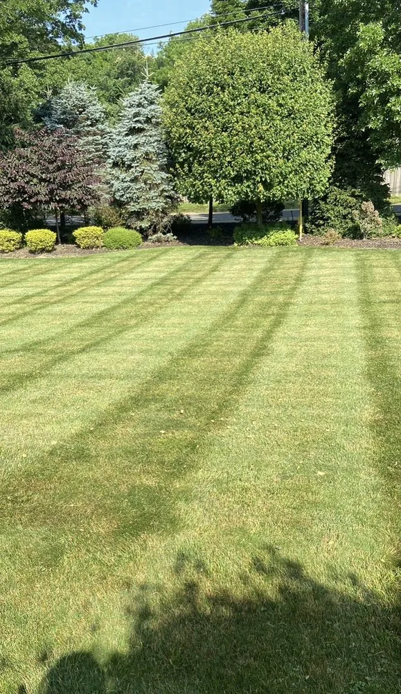 Professional yard maintenance for outdoor upgrades across Spring Valley, NY - Mr Gonzalez Lawn Care