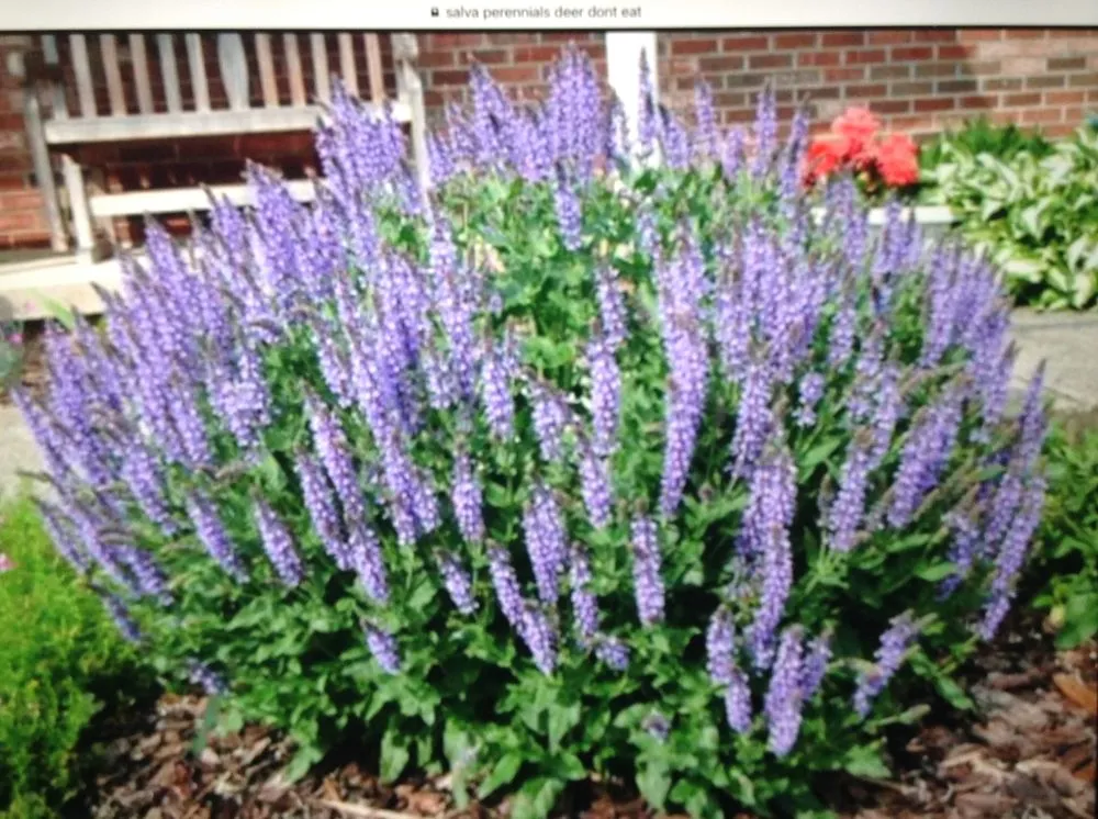 Professional landscape installation near you across Cleveland, OH - Mr Good Job Landscaping