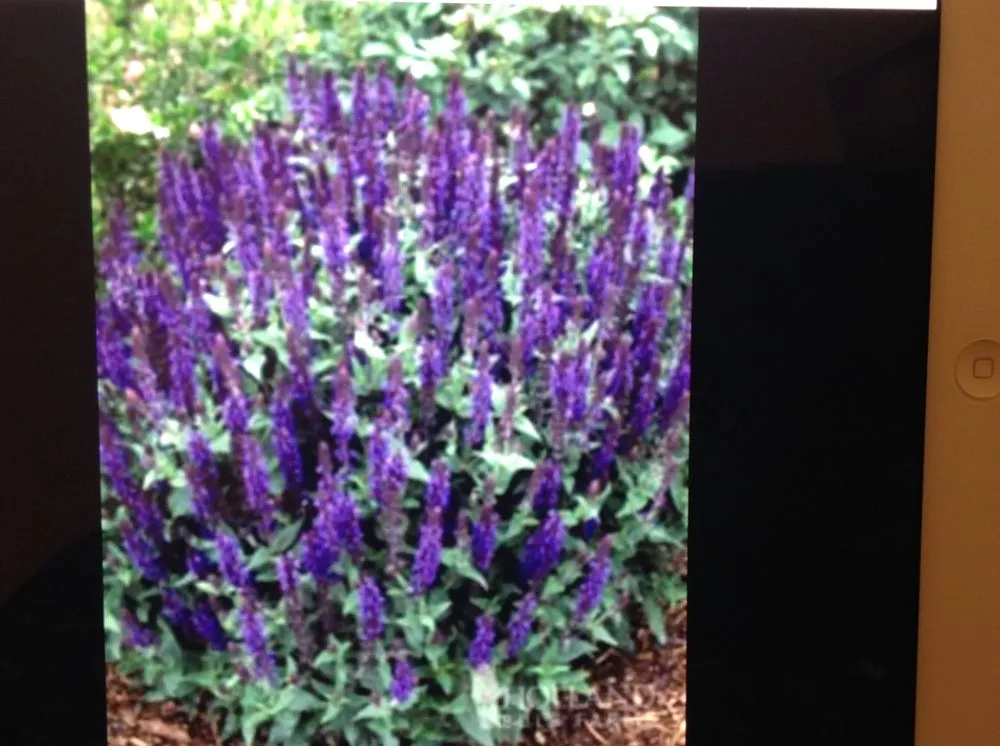 Top-rated outdoor landscaping for beautiful yards across Cleveland, OH - Mr Good Job Landscaping