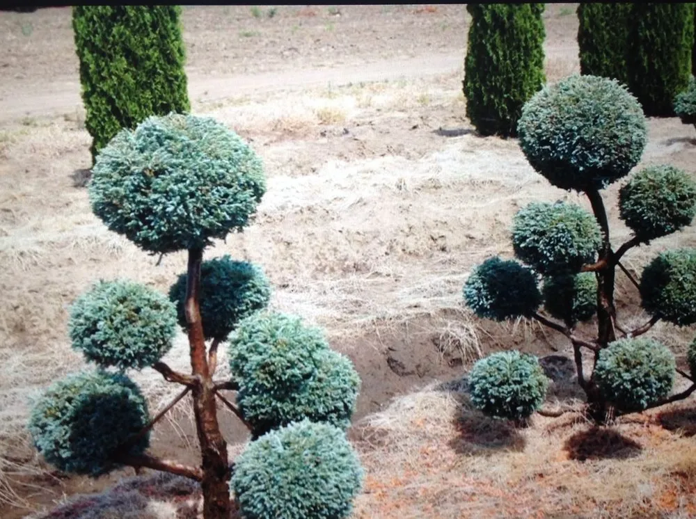 Expert outdoor landscaping experts serving Cleveland, OH - Mr Good Job Landscaping