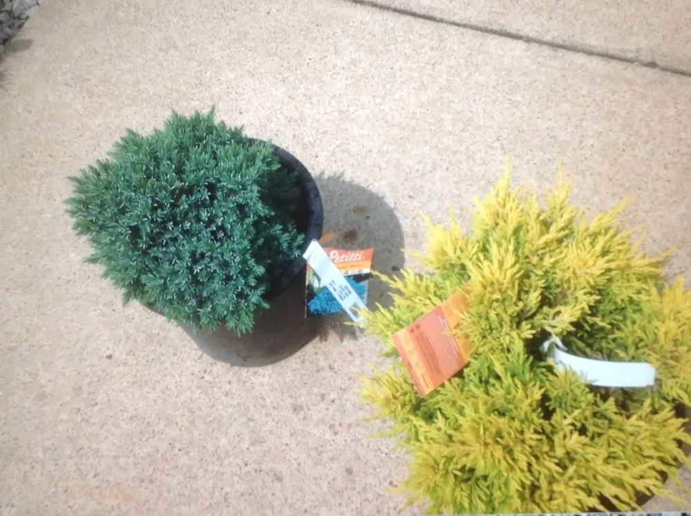 Affordable landscape design experts serving Cleveland, OH - Mr Good Job Landscaping