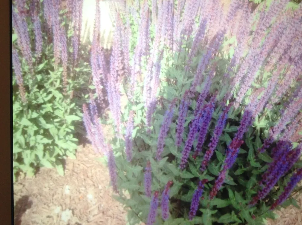 Local landscaping services near you across Cleveland, OH - Mr Good Job Landscaping