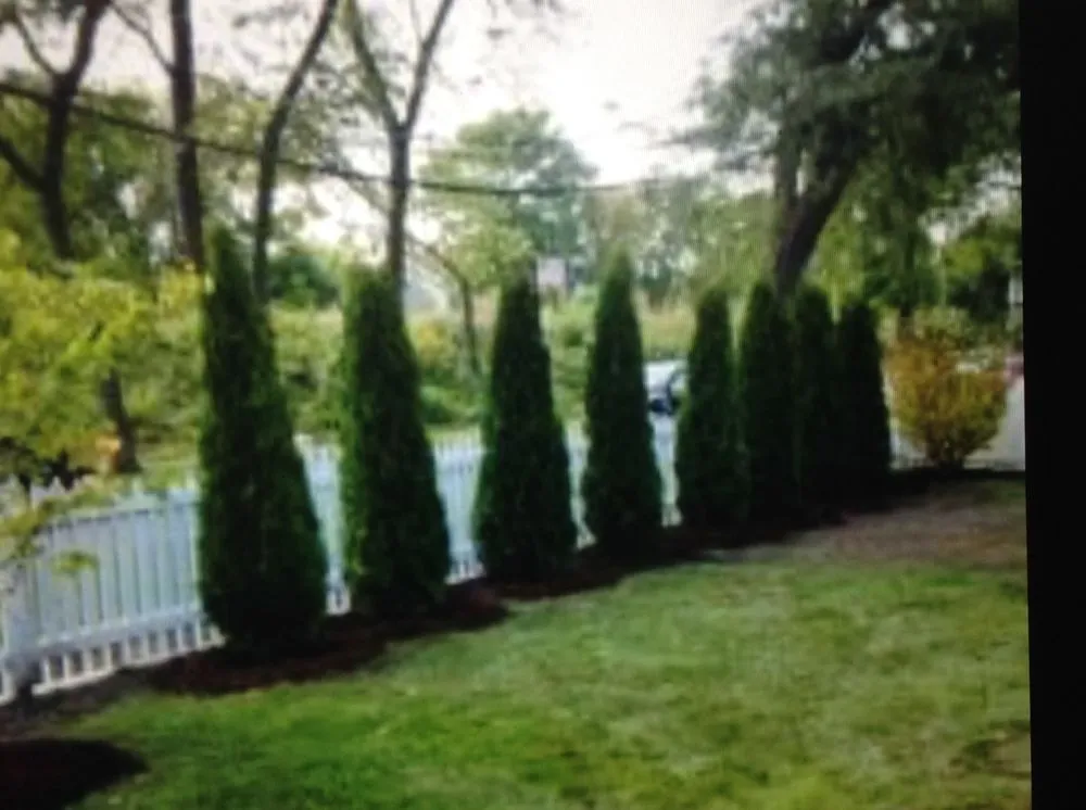 Affordable residential landscaping experts serving Cleveland, OH - Mr Good Job Landscaping