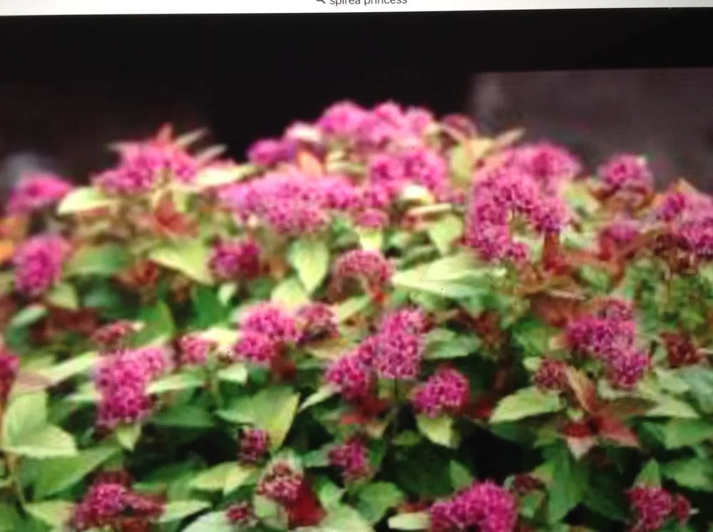 Expert garden landscaping in Cleveland, OH - Mr Good Job Landscaping