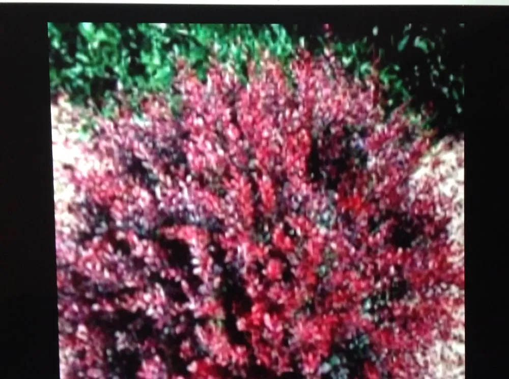 Reliable landscape installation experts serving Cleveland, OH - Mr Good Job Landscaping