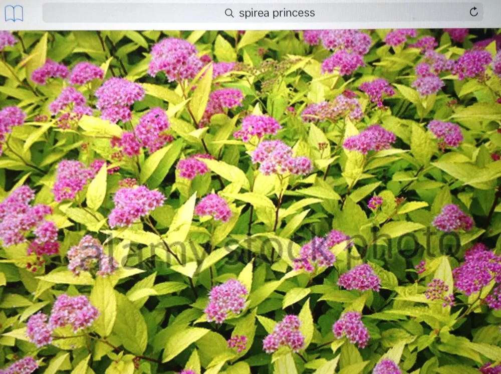 Local lawn care service experts serving Cleveland, OH - Mr Good Job Landscaping