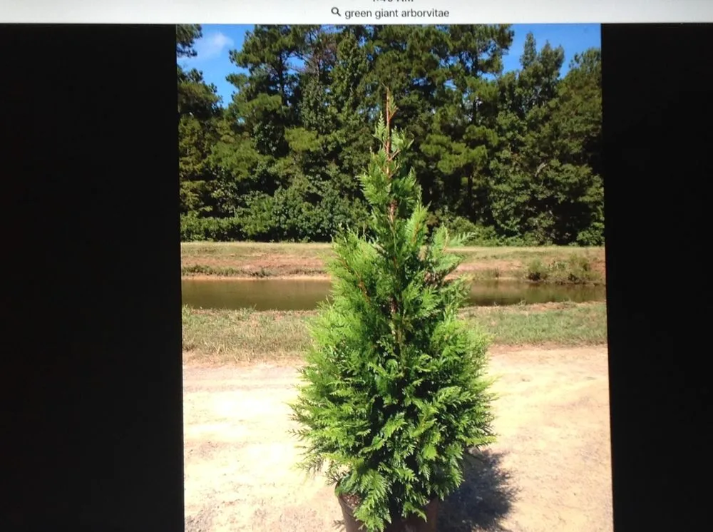 Trusted residential landscaping experts serving Cleveland, OH - Mr Good Job Landscaping