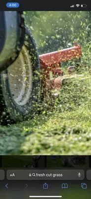 Mr Grass Lawn-Care Logo