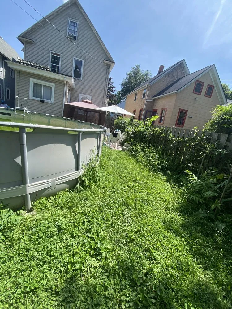 Professional lawn care service for outdoor upgrades across Rochester, NY - Mr Grass To Gutters Maintenance