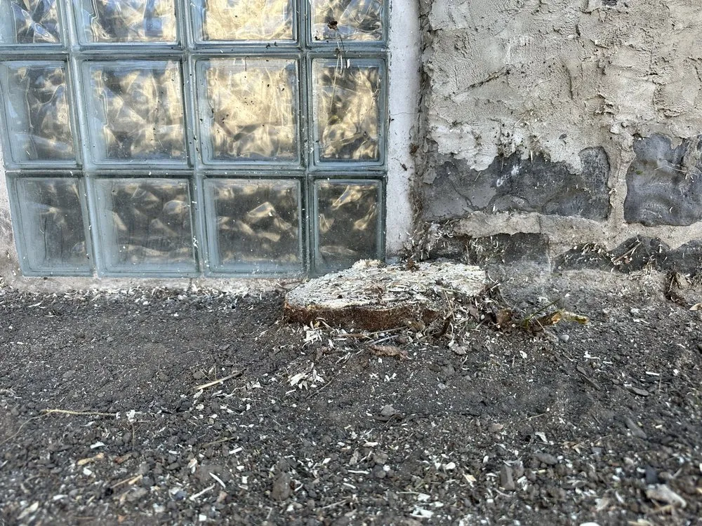 Trusted yard cleanup service experts serving Rochester, NY - Mr Grass To Gutters Maintenance