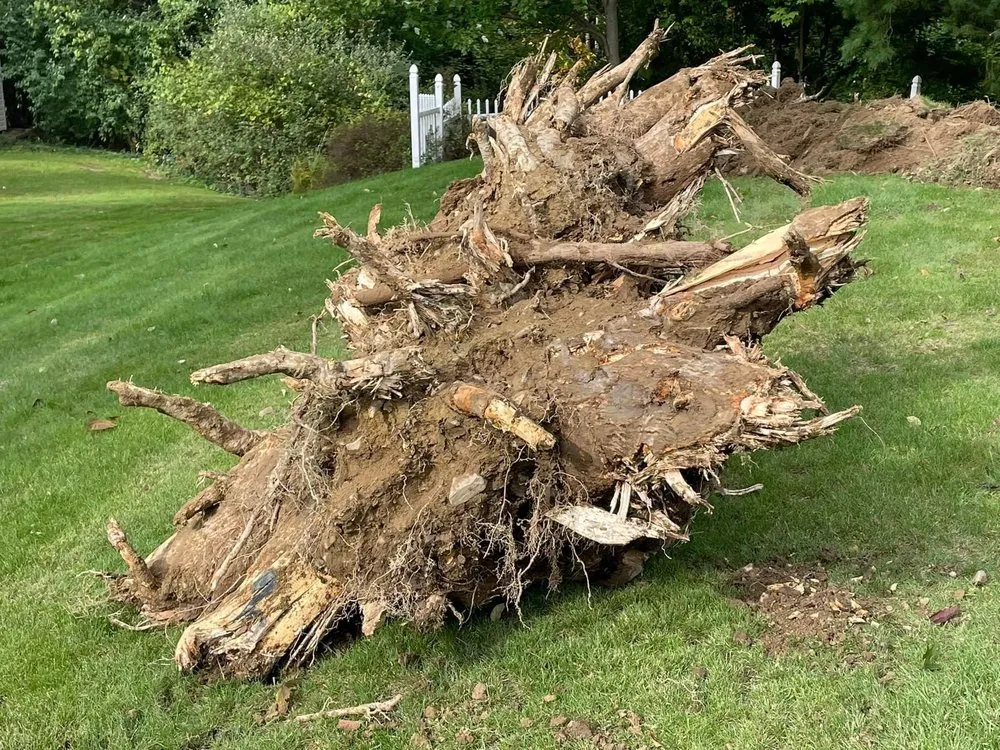 Reliable landscape design with custom design in Owego, NY by Mr. Green Landscaping & Lawn Care