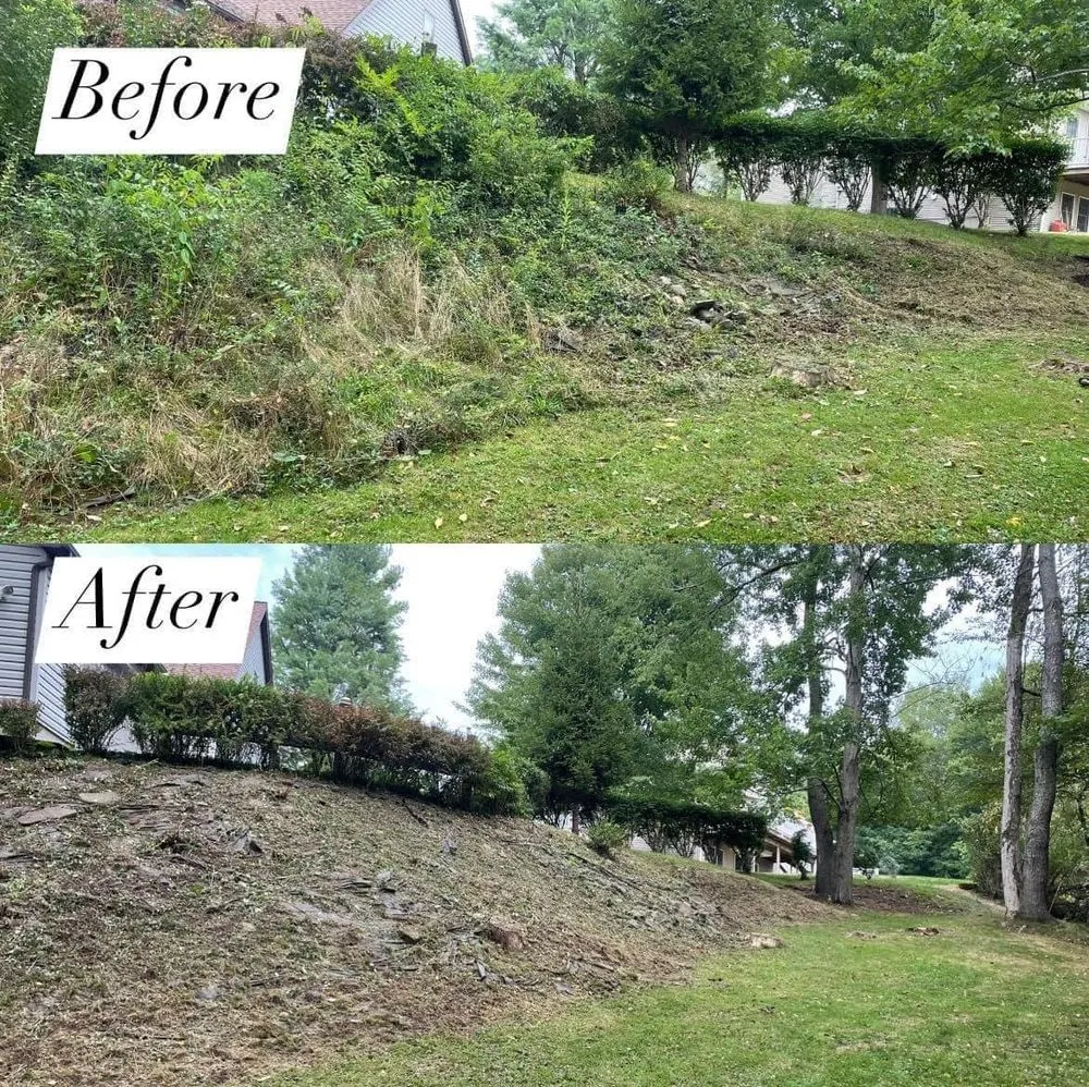 Affordable landscape design in Owego, NY - Mr. Green Landscaping & Lawn Care