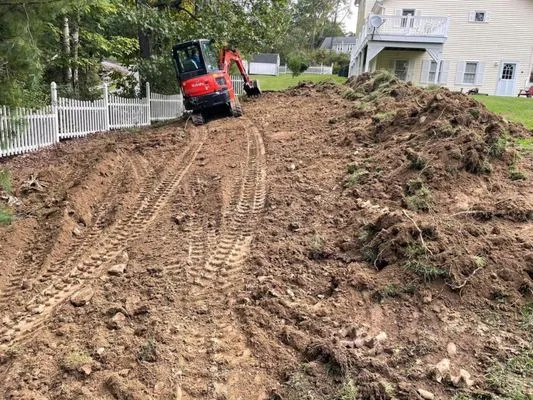 Mr. Green Landscaping & Lawn Care