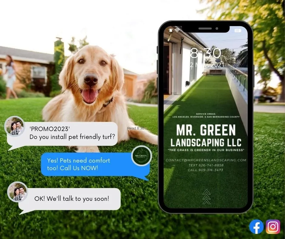 Professional landscaping services for outdoor upgrades in Menifee, CA by Mr. Green Landscaping