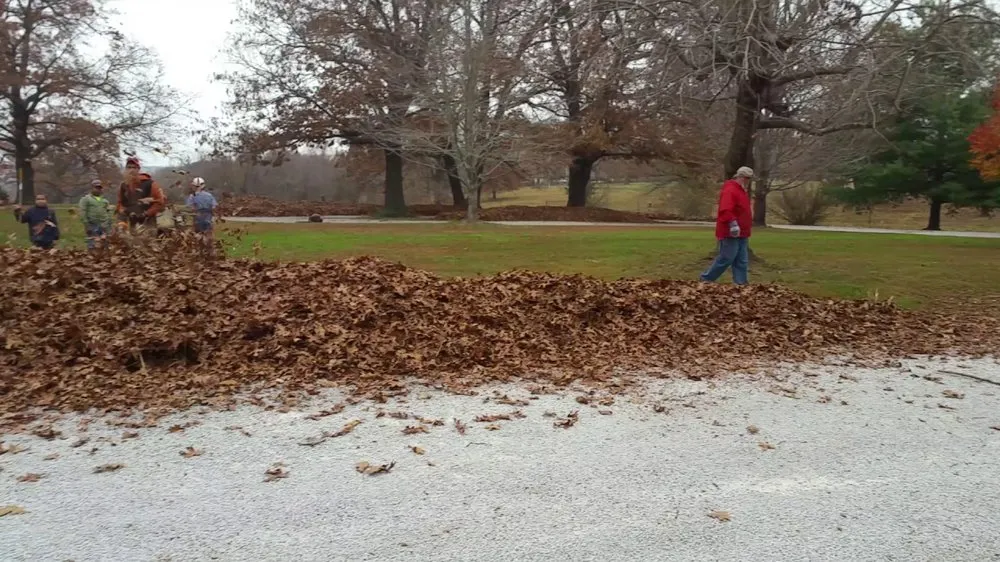 Professional landscaping services experts serving Vineland, NJ - Mr Green Landscaping