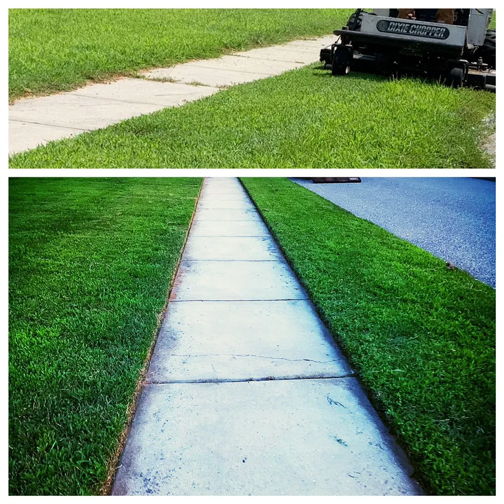 Top-rated yard cleanup service in Vineland, NJ - Mr Green Landscaping