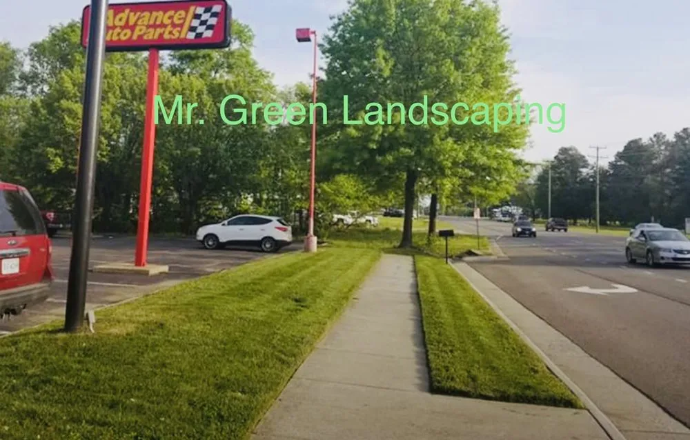 Top-rated yard cleanup service experts serving Vineland, NJ - Mr Green Landscaping