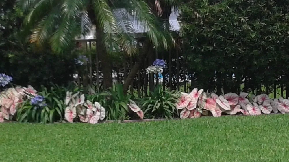 Trusted landscape installation in Santa Fe, TX by Mr Green Lawn Services