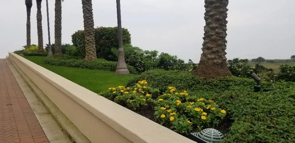 Professional yard cleanup service experts serving Santa Fe, TX - Mr Green Lawn Services