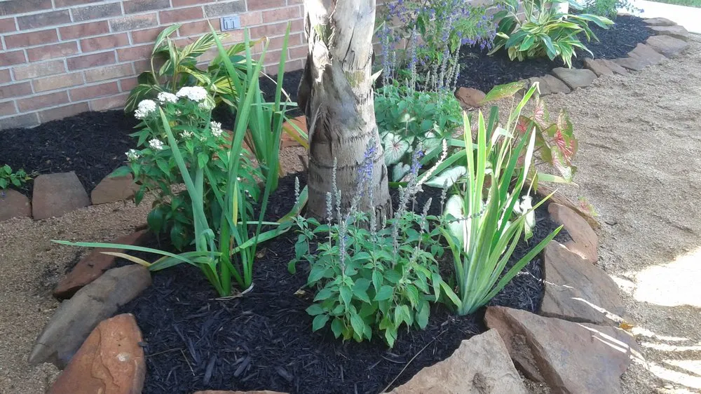 Trusted lawn care service for outdoor upgrades in Santa Fe, TX by Mr Green Lawn Services