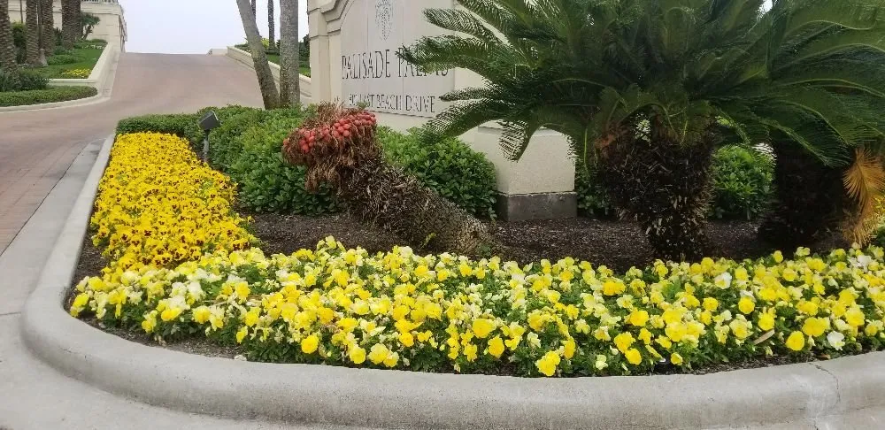 Affordable residential landscaping in Santa Fe, TX by Mr Green Lawn Services