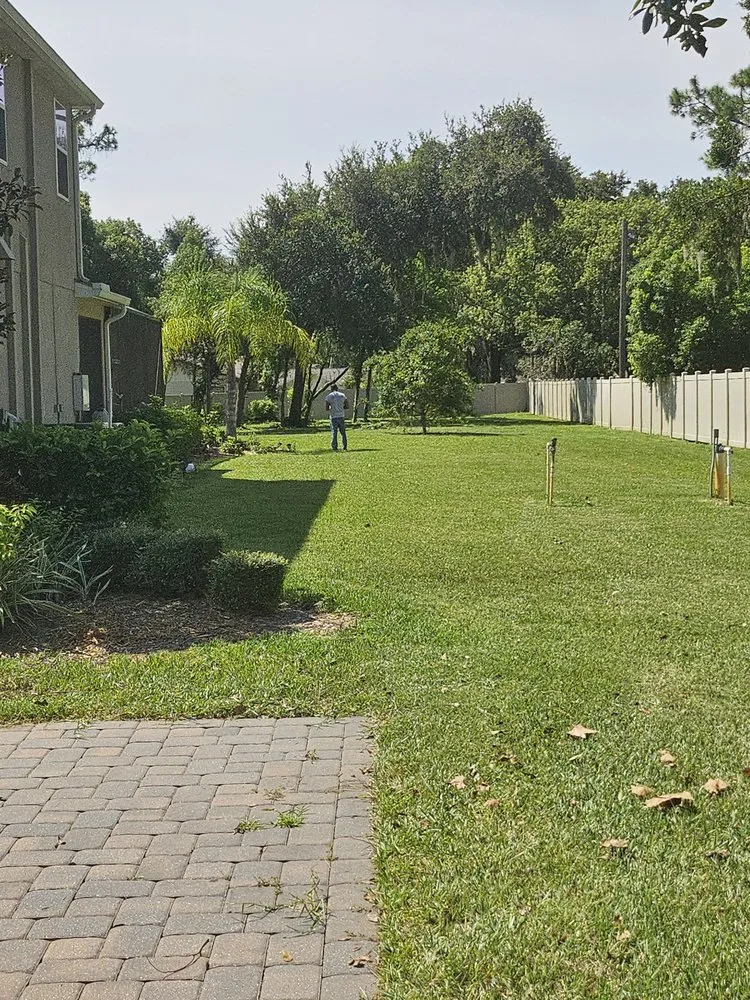 Local yard cleanup service in Tampa, FL - Mr Green