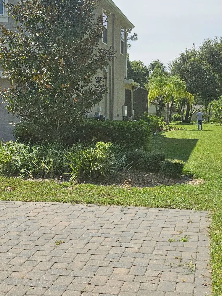 Custom garden landscaping in Tampa, FL - Mr Green