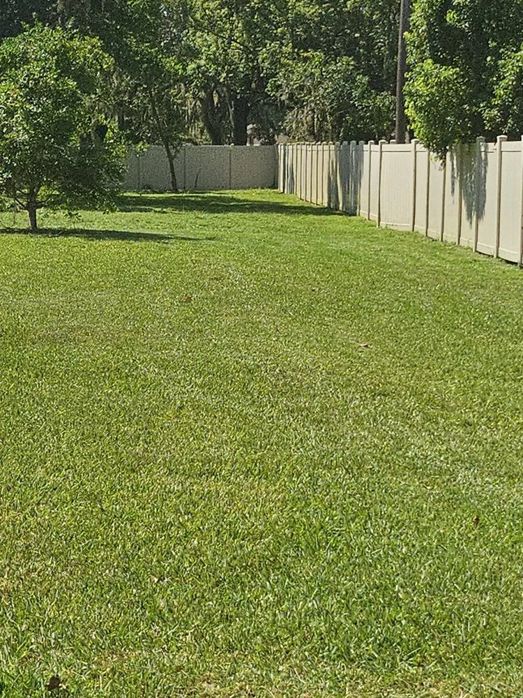 Expert garden landscaping in Tampa, FL - Mr Green