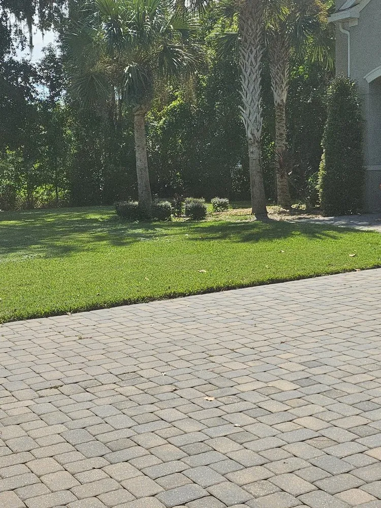 Trusted landscaping services for homes across Tampa, FL - Mr Green