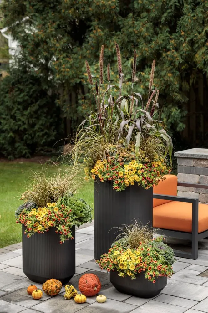 Reliable lawn mowing service in LaFollette, TN - Mr Green Thumbs