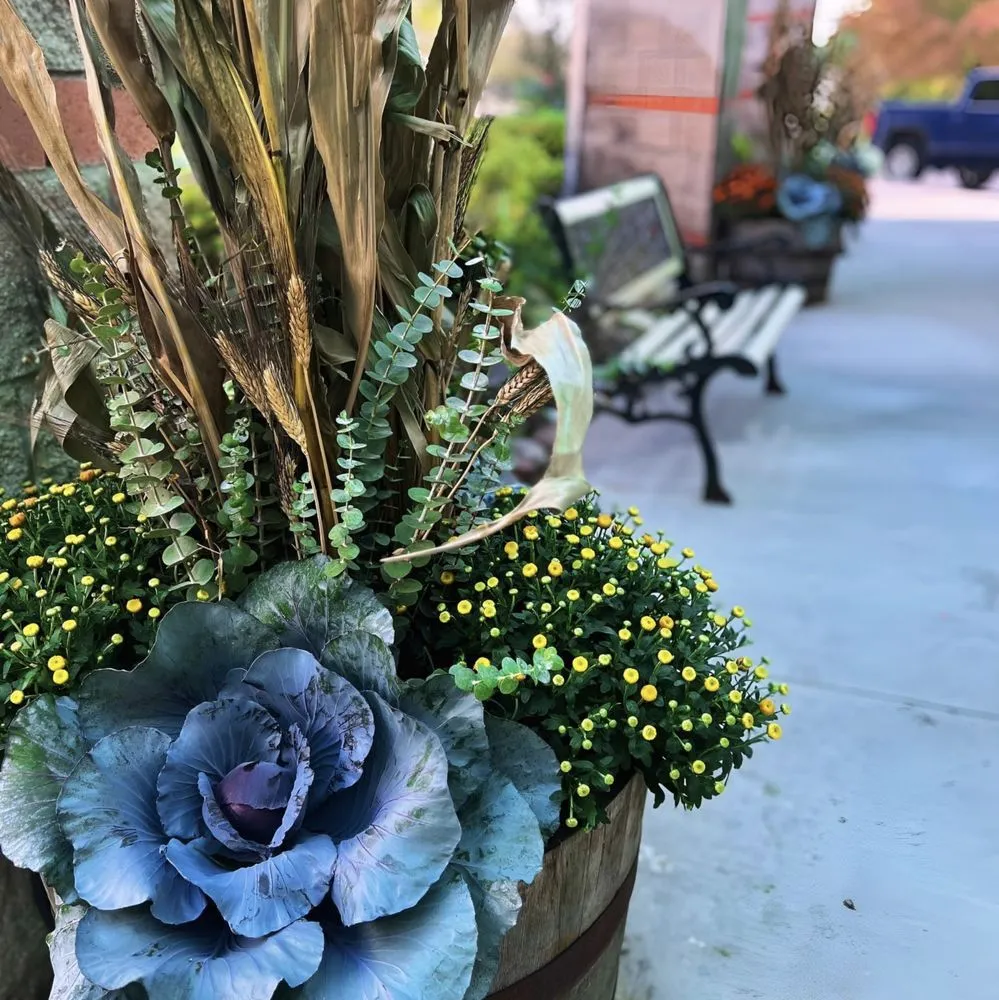 Top-rated landscaping services for outdoor upgrades in LaFollette, TN by Mr Green Thumbs