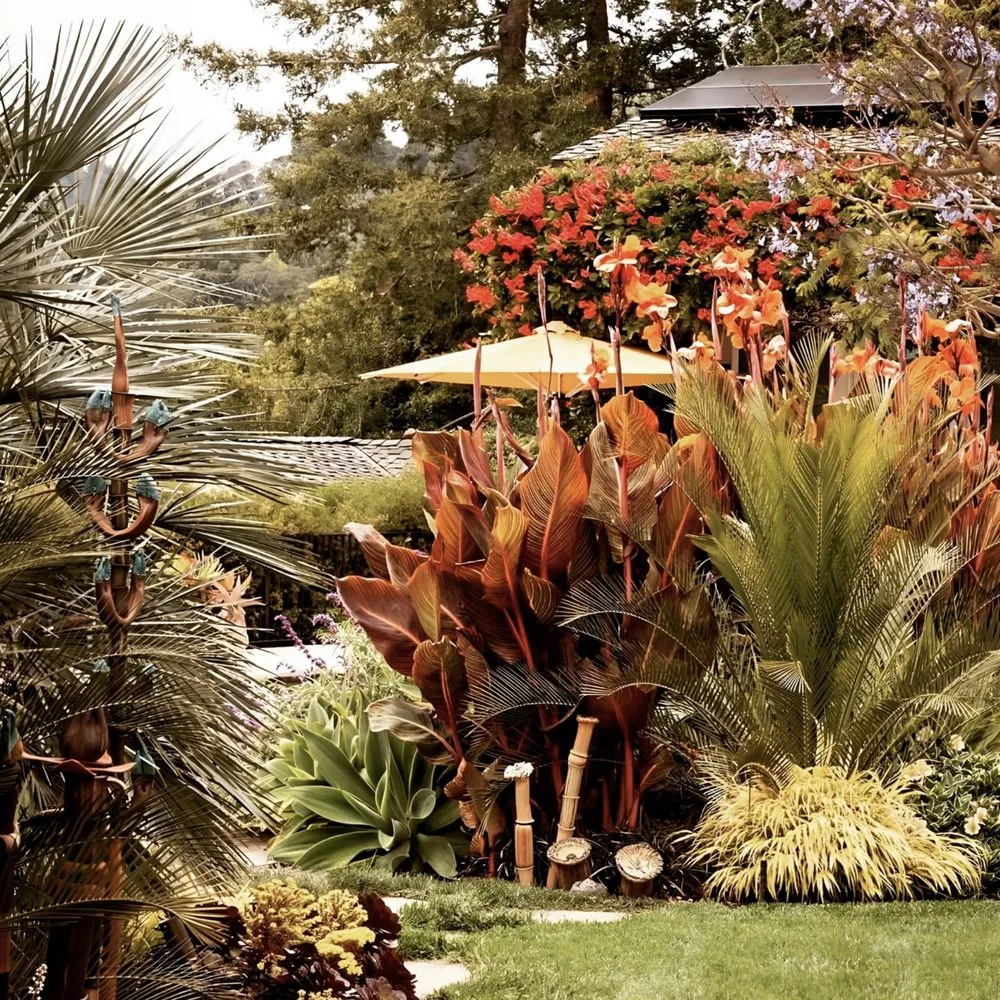 Reliable residential landscaping in LaFollette, TN by Mr Green Thumbs