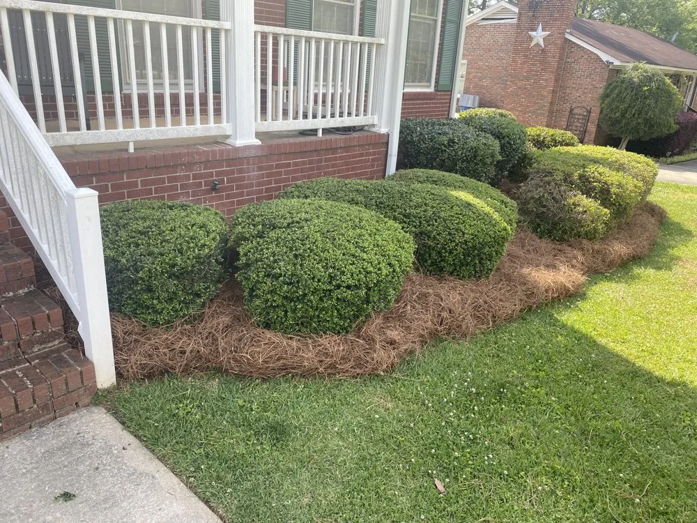 Local lawn mowing service near you across Greenwood, SC - Mr Greene Lawn Care