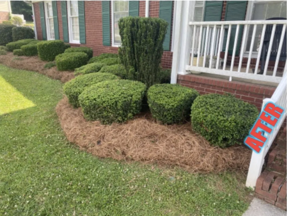 Custom landscape design for year-round maintenance across Greenwood, SC - Mr Greene Lawn Care